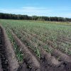 Informācijas un pieredzes apmaiņa VRG Lielupe
